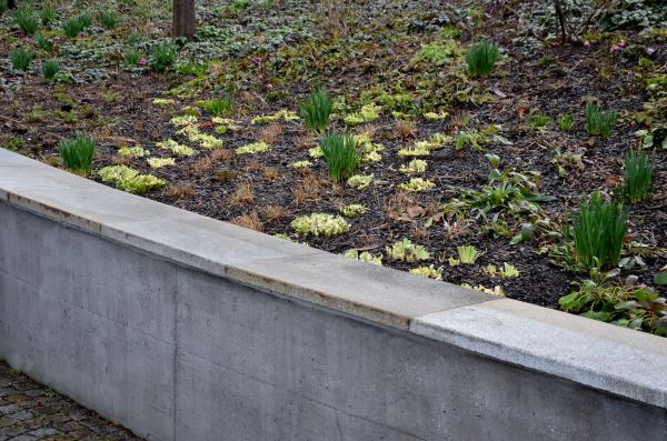 Concrete Wall Construction in Newburgh