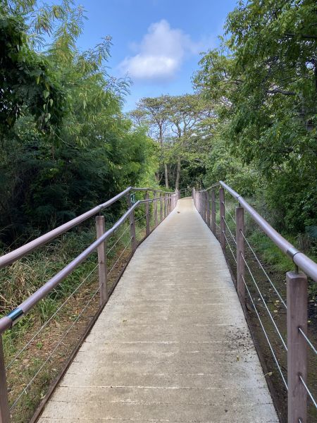 Footpath Construction in Newburgh