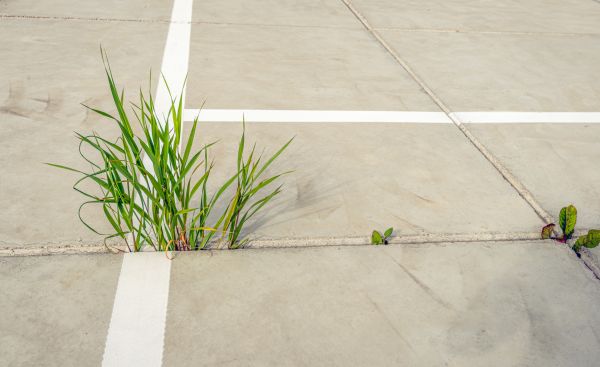 Concrete Parking Installation in Newburgh